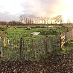 kleinespeelweide.jpg