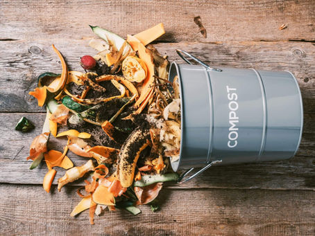 Europe is Throwing Away its Food
