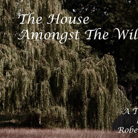 The House Amongst the Willows: Auditions 11th December