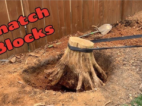 Remove Tree Stump By Hand Easiest And Fastest Way?