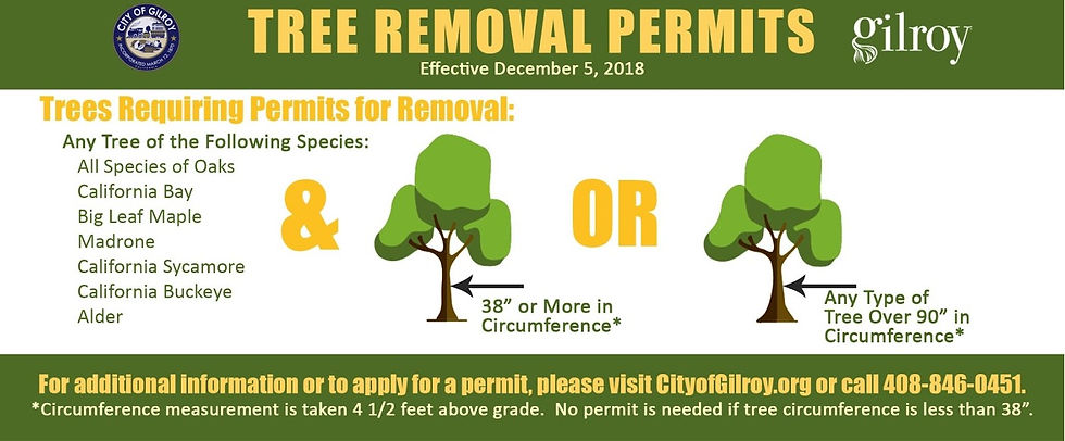 professional tree removal equipment