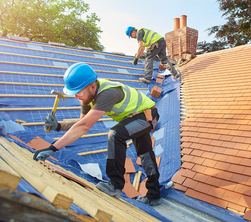 Roof Installation Workers