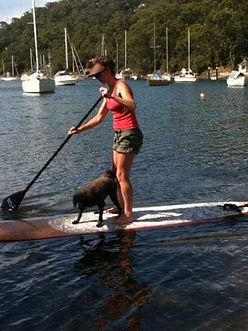 Good dog behaviour