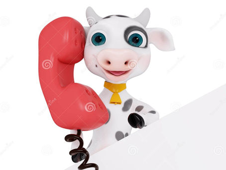 ¿UNA VACA AL TELEFONO?