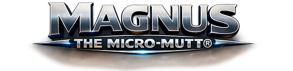 new-magnus-logo.png