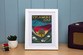 Sycamore Gap-4 (1).jpg
