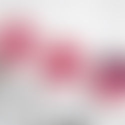 The 2025 Gift Guide For Northern Crafters