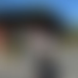 새가족(04,05.2026)