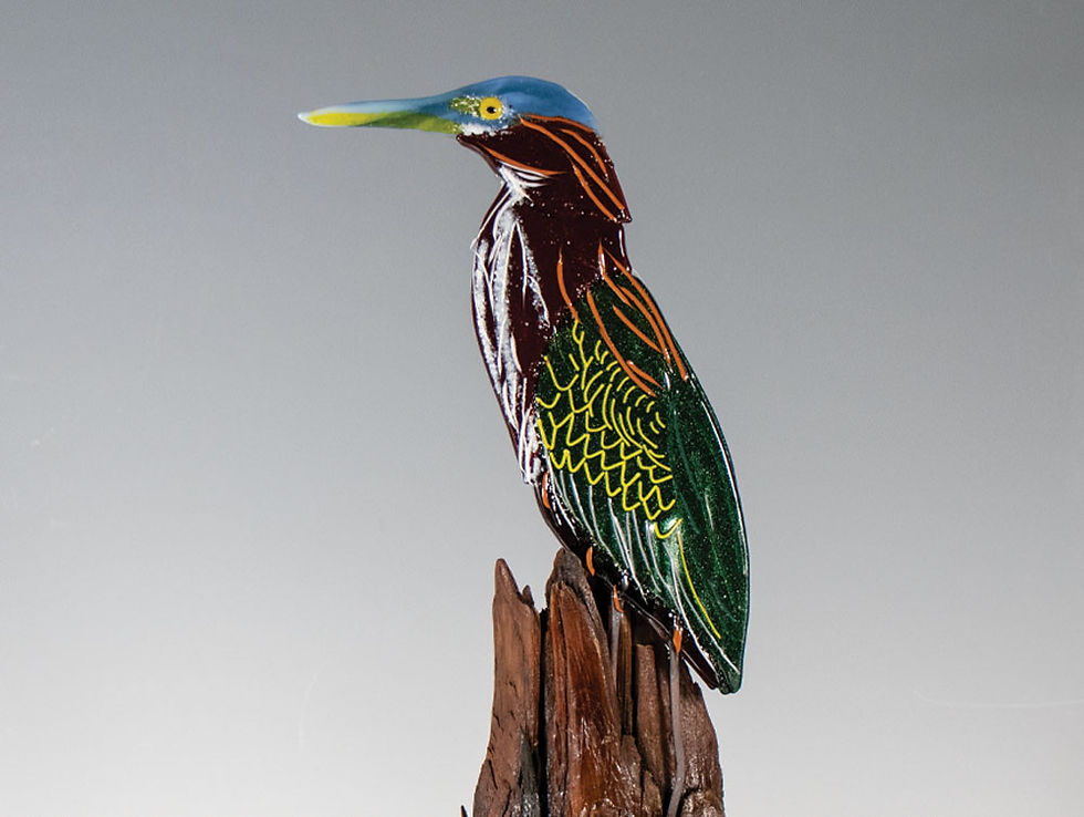 Oeffling-Linda-green-heron3