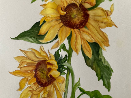 Reaching for the Sun: Intermediate Watercolor for Adults with Artist Dorae Bowen