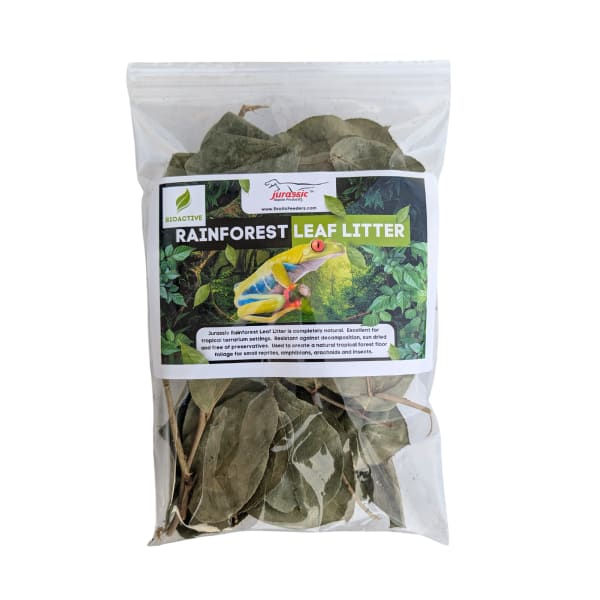 Rainforest Leaf Litter