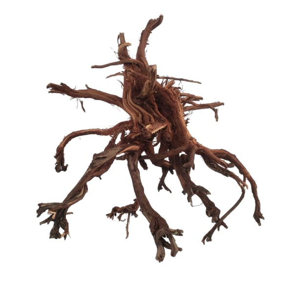 Mekong Spider Wood