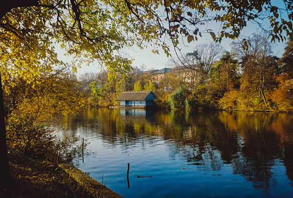 Herastrau Park.jpg
