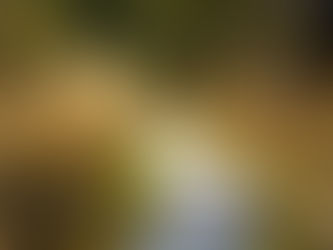 El camino se descubre caminando, paso a paso