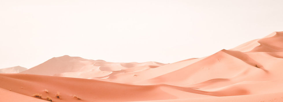 Sahara Desert Photograph