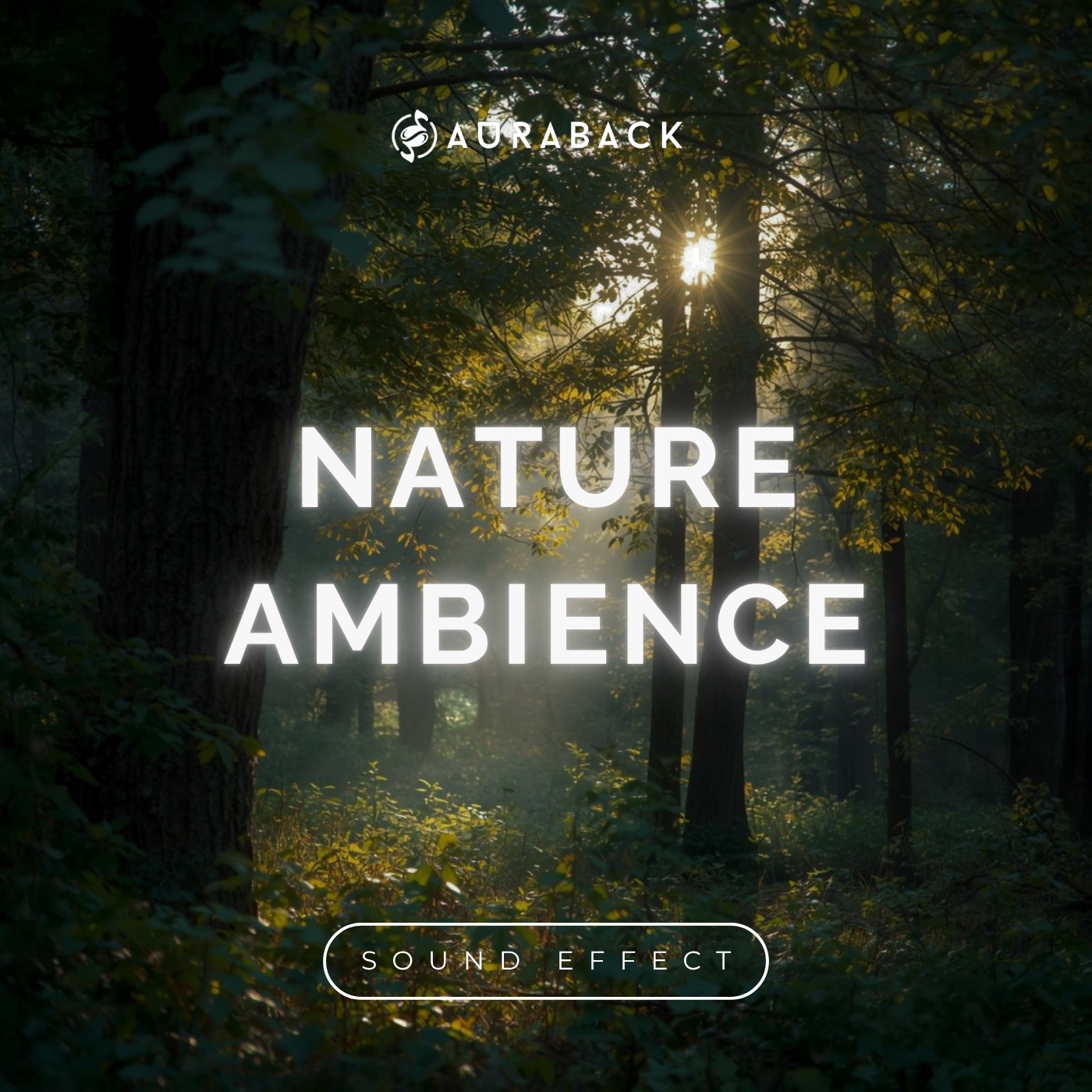 Nature Ambience Sound Pack