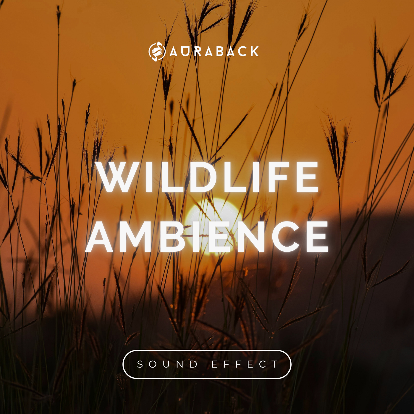 Wildlife Ambience Sound Pack