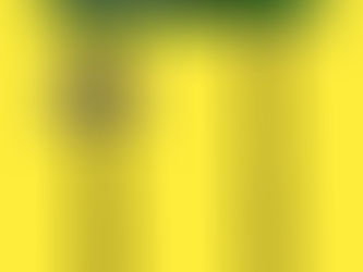 “L.A.’s Unsung Landmarks Hidden in Plain Sight” Exhibit by Mikki Paek