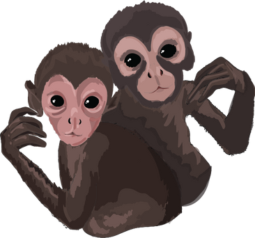 MONITOS.png