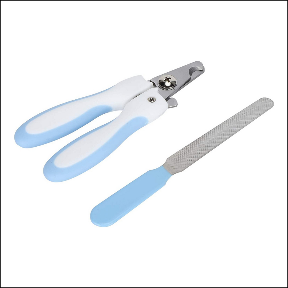 Kit Alicate e Lixa de Unha para Pet