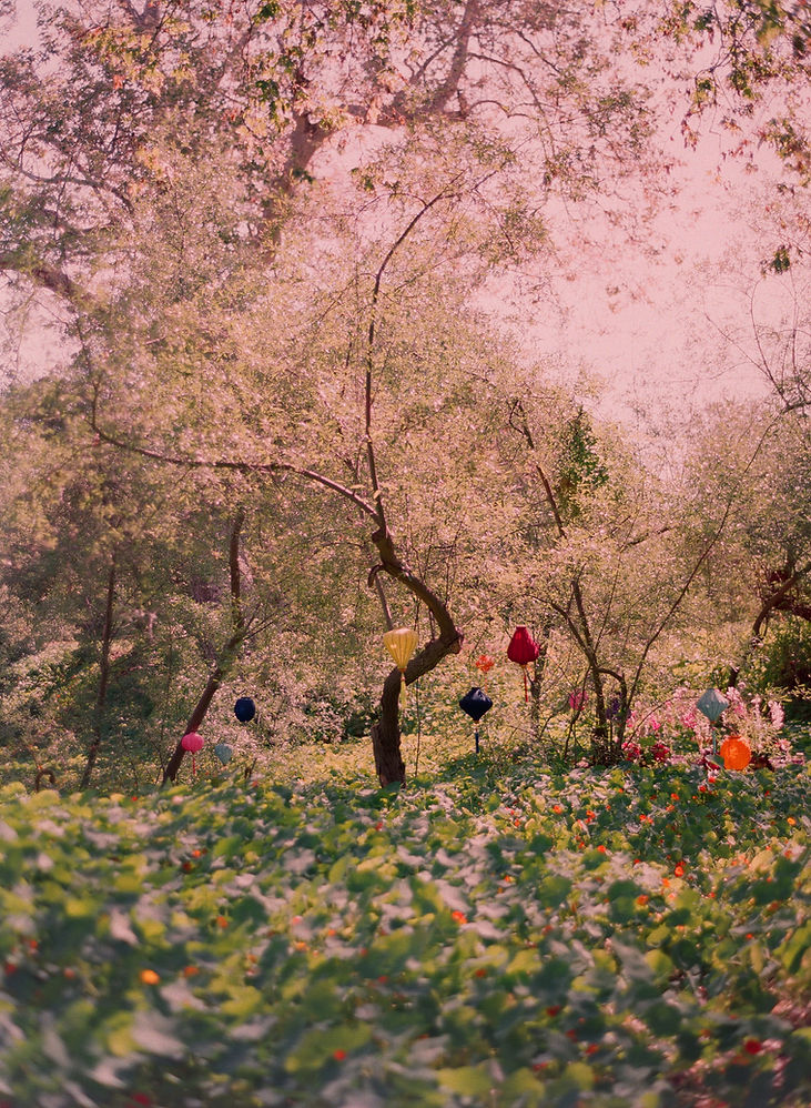 66280021 copy_edited.jpg