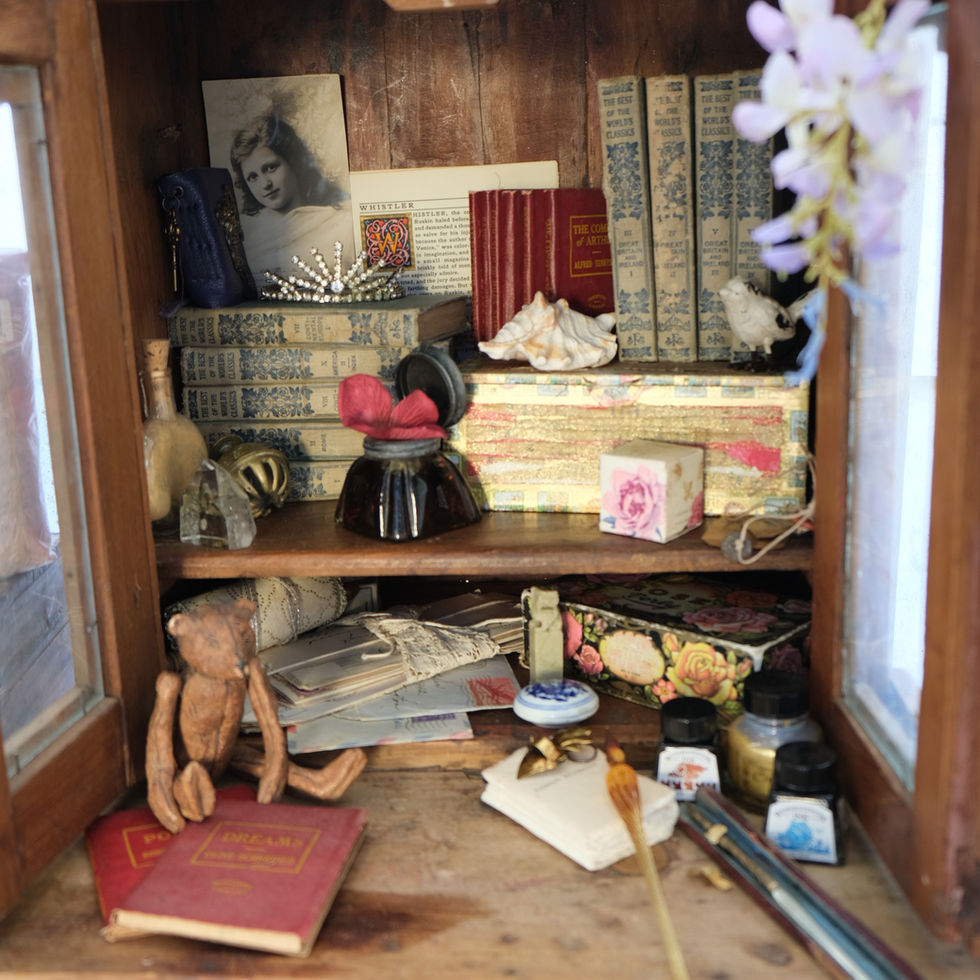 a shelf with a book that says ' dreams ' on it