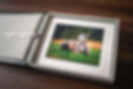 MEP Pet Photography Folio Box Bristol