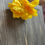 Thumbnail: Peony 13.5” -yellow 