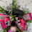 Thumbnail: Breast Cancer Awareness Swag Wreath