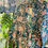 Thumbnail: Teal Print Blazer + Shorts Set