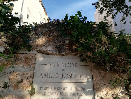 ¿QUÉ HA PASADO CON CELA?