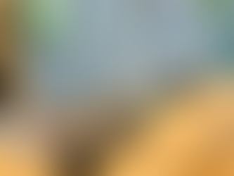 DJK - Weihnachtsturnier 2025 - Bilder Galerie