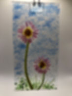 Gerbera