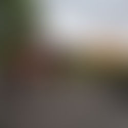 Welcome to the Grey Mare Blog