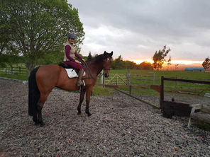 Welcome to Grey Mare
