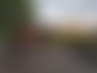 Welcome to the Grey Mare Blog