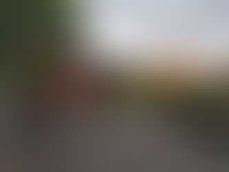 Welcome to the Grey Mare Blog