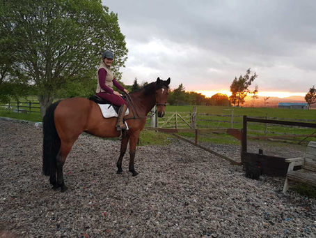 Welcome to the Grey Mare Blog