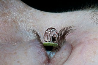 Foto: Audun Rognerud / Flickr