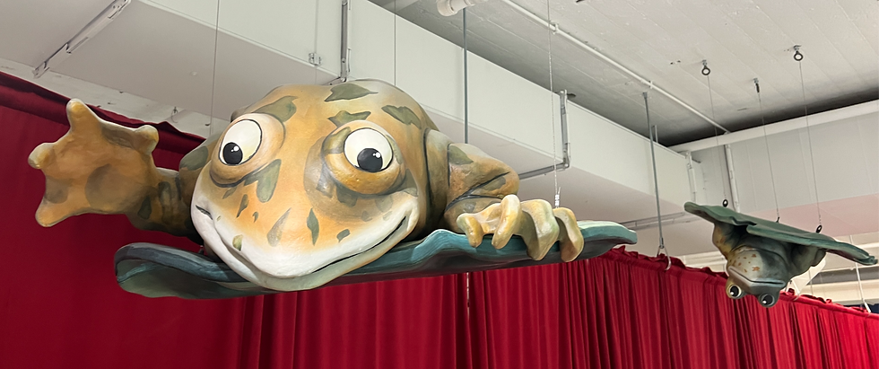 Two of the flying frogs suspended from the ceiling of the second floor at The Rabbit hOle.