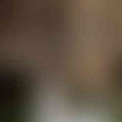 Real Elizabeth Kate bride Wearing Eva Lendel Lea Wedding Dress