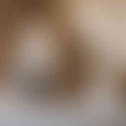 bride-made-with-love-alfie-dress-elizabeth-kate-bridal