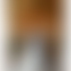 MEGAN AND JORDAN: Real Elizabeth Kate Bride Wears Rebecca Ingram Raelynn Wedding Dress