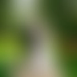 RACHEL AND ALEX: Real bride Rachel wears Rebecca Ingram Hattie wedding dress