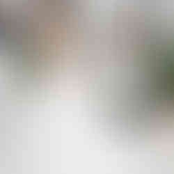 Bride trying a wedding dress at Elizabeth kate Bridal