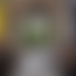 Real bride wearing Eva Lendel Lika wedding dress from Elizabeth Kate Bridal