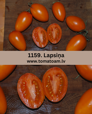 1159_Lapsina.png