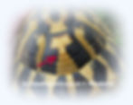 Thh 5.Wirbelschild