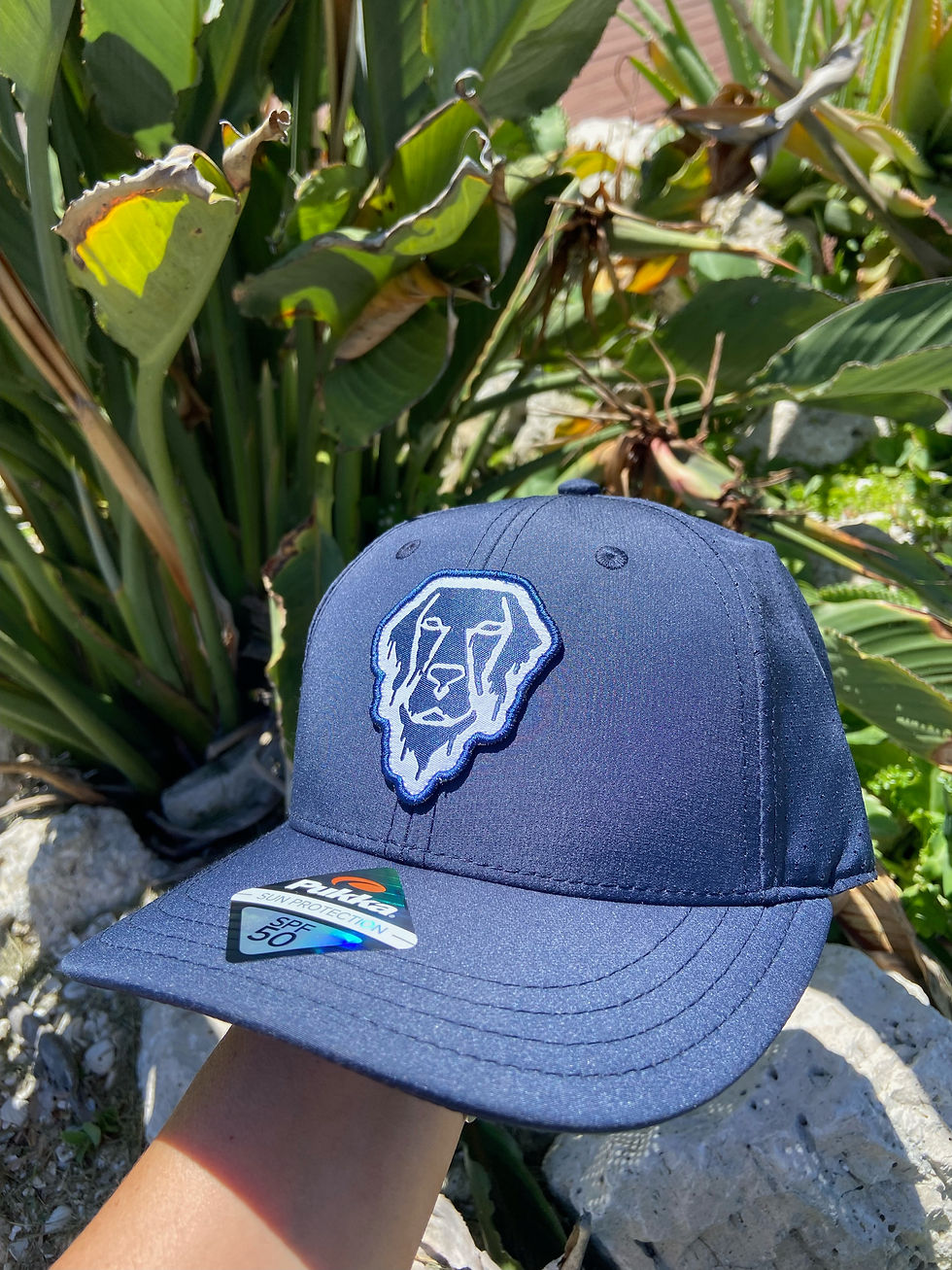 Thumbnail: Melty Dog Dry-Fit Hat