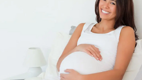 Blood Flow, Implantation and Fertility: Why Circulation Is Everything